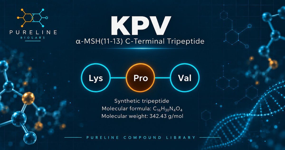 KPV peptide graphic by Pureline Biolabs showing the Lys-Pro-Val tripeptide sequence, molecular formula C16H30N4O4 and molecular weight 342.43 g/mol, labelled as the alpha-MSH(11-13) C-terminal tripeptide.
